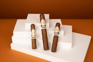 CigarKings Nicaragua Zigarren Robusto Maduro Sun Grown Toro 